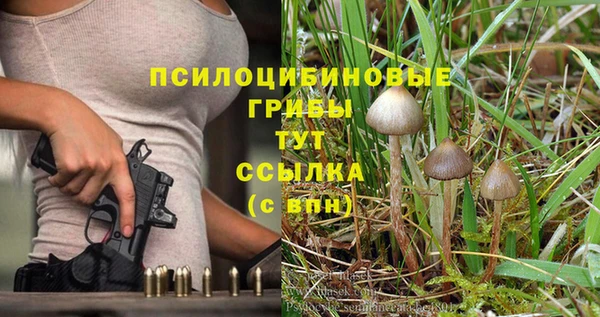 гидра Пересвет