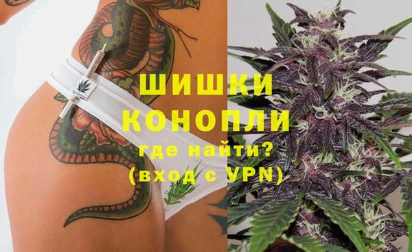 гидра Пересвет