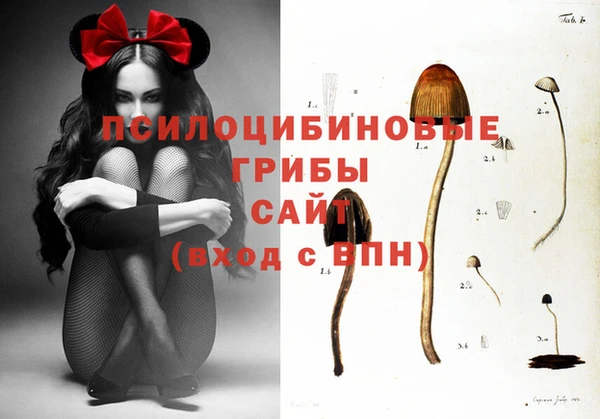 мет Гатчина
