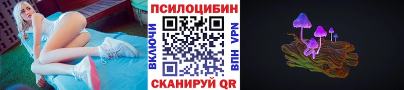 Купить закладки  Кодинск  Псилоцибиновые грибы мицелий 