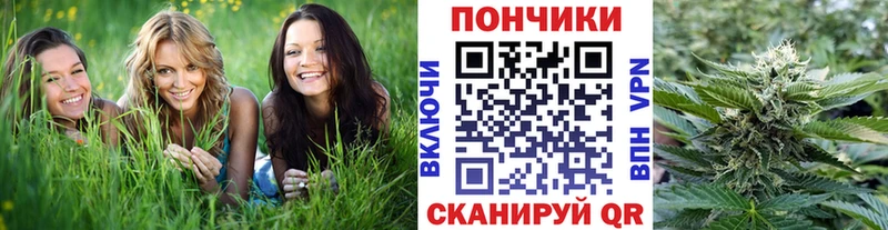 Канабис индика  Купить где  Кодинск 